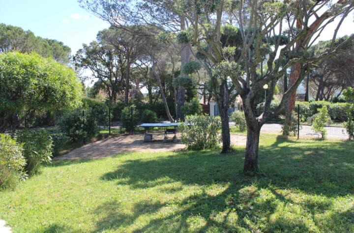 Photo of Outdoor in Gassin