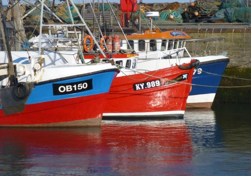 Photo of Others in Pittenweem