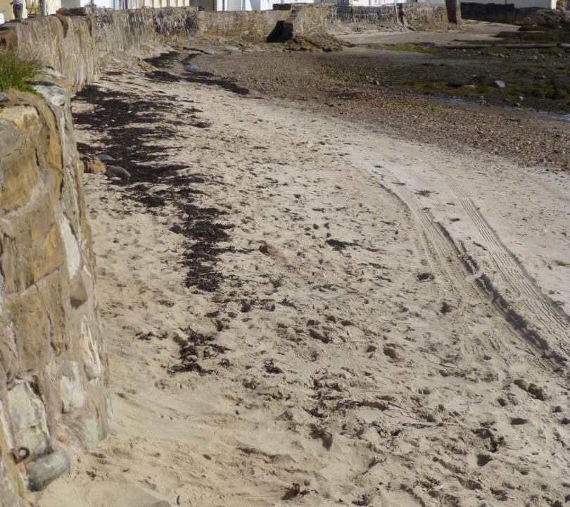 Photo of Buildings in Pittenweem