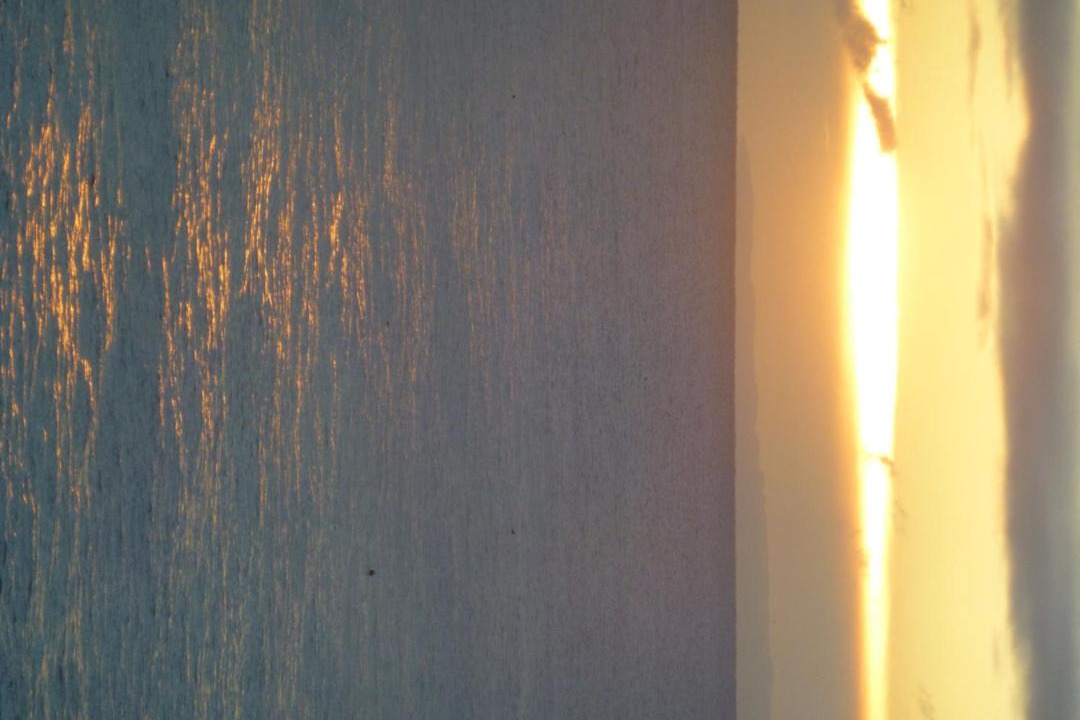 Photo of Others in Pittenweem