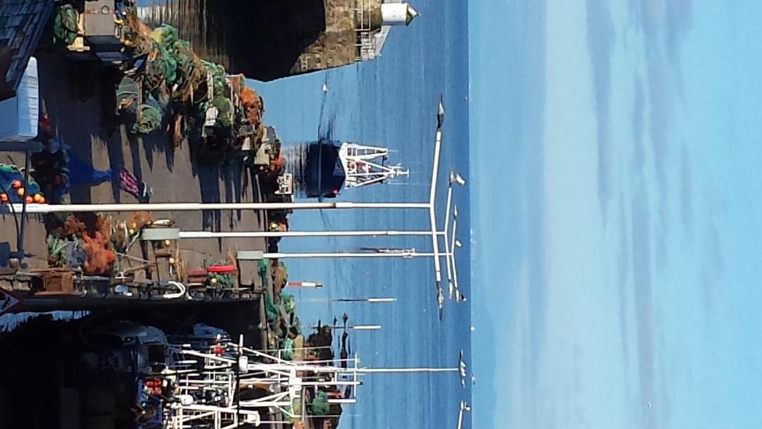 Photo of Others in Pittenweem