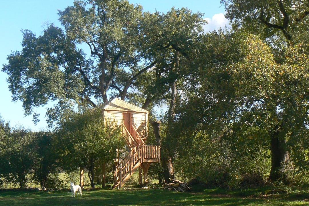 Photo of Others in Saint-Christaud