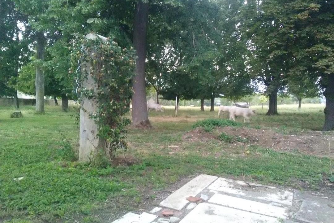 Photo of Others in Genouillac