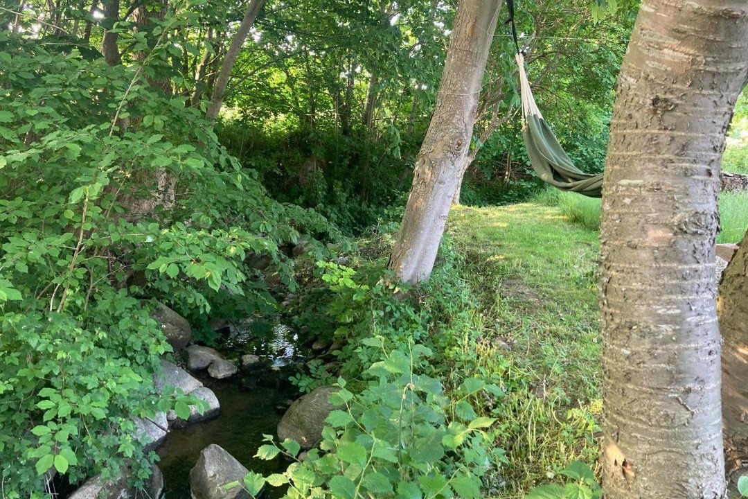 Photo of Others in Hasle