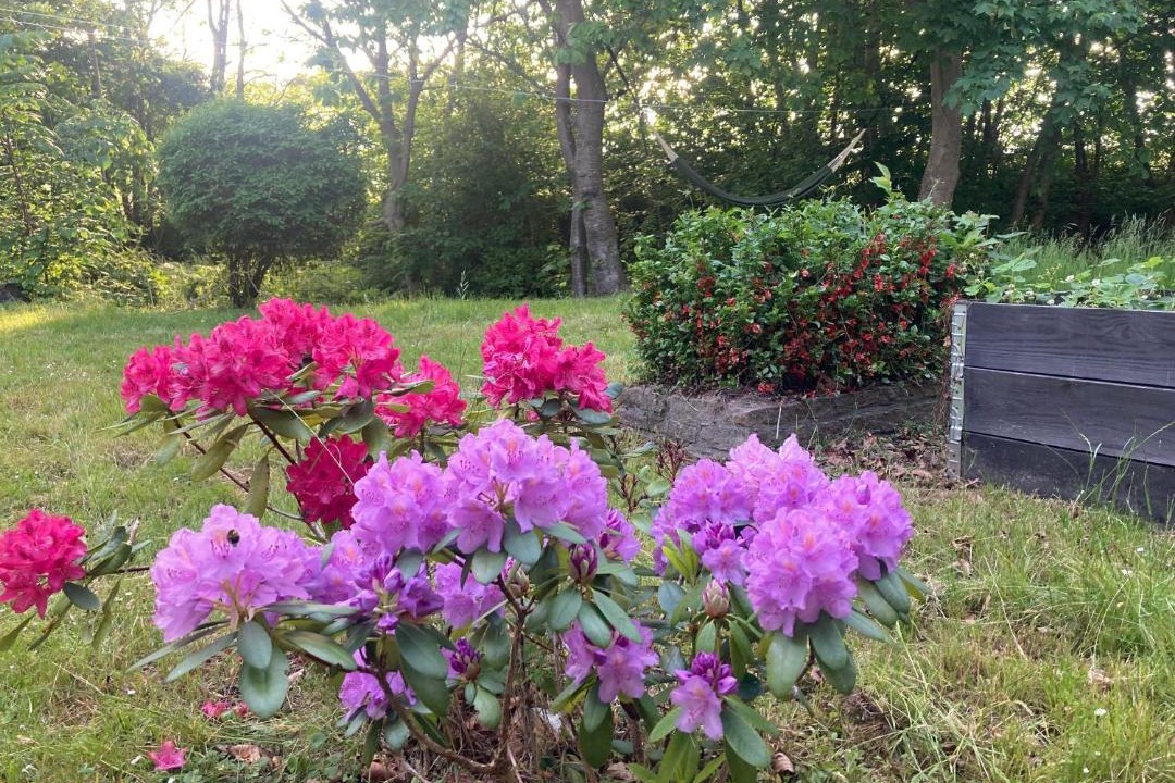 Photo of Others in Hasle