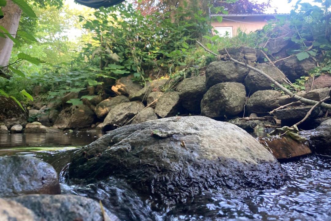 Photo of Others in Hasle