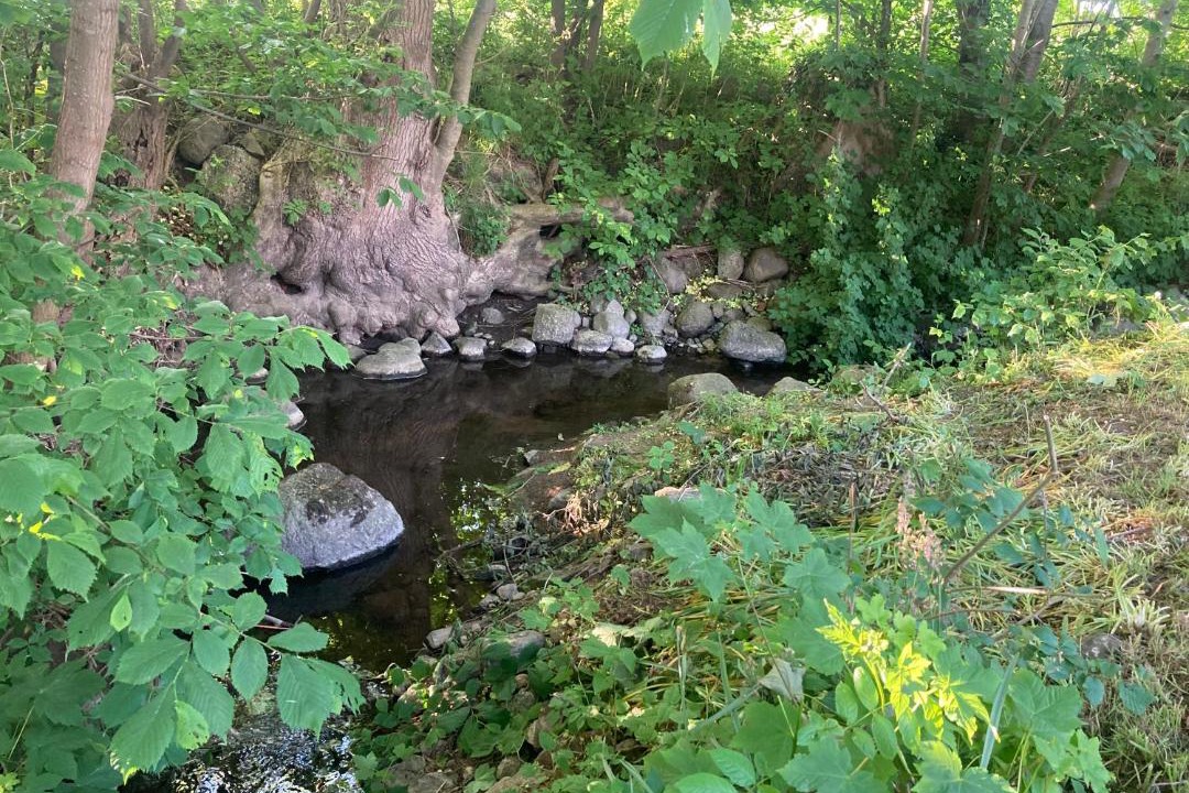 Photo of Others in Hasle