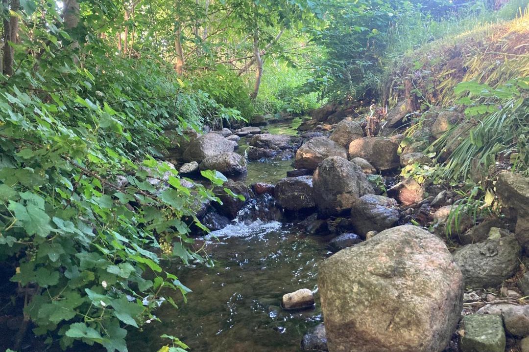 Photo of Others in Hasle