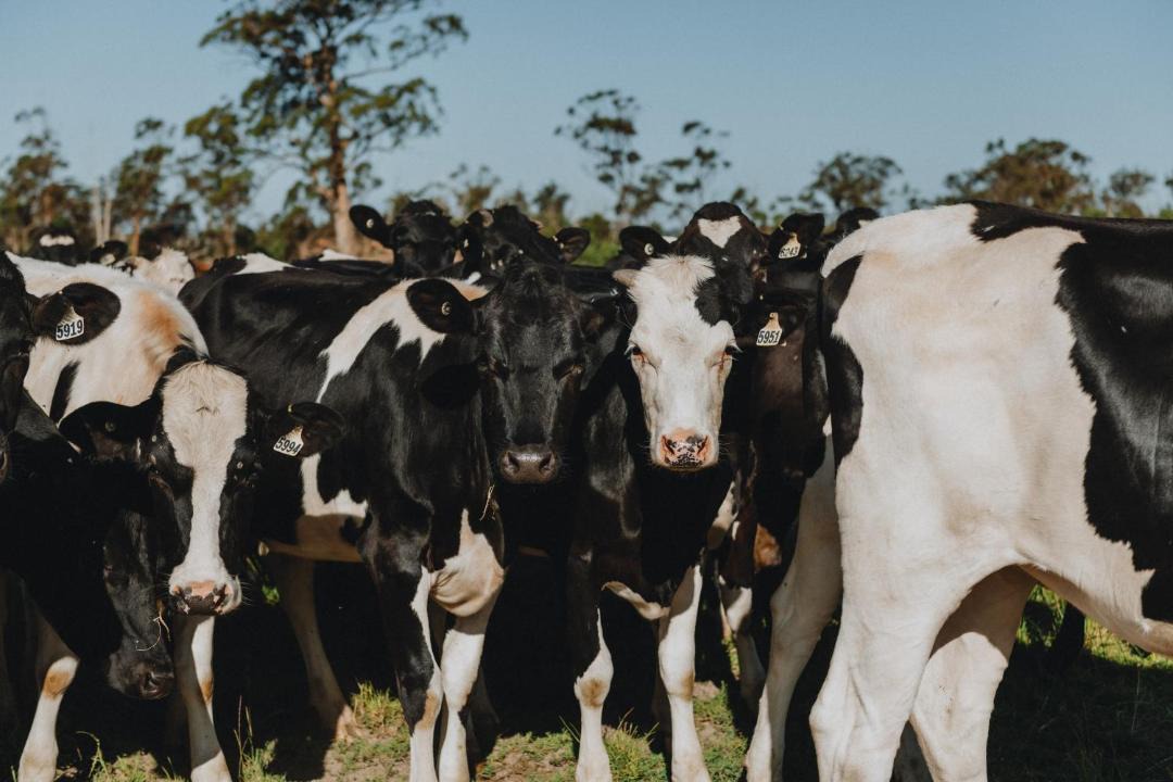 Photo of Others in Driffield