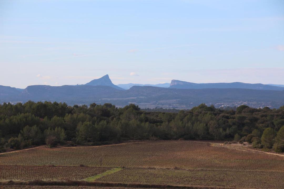 Photo of Others in Souvignargues