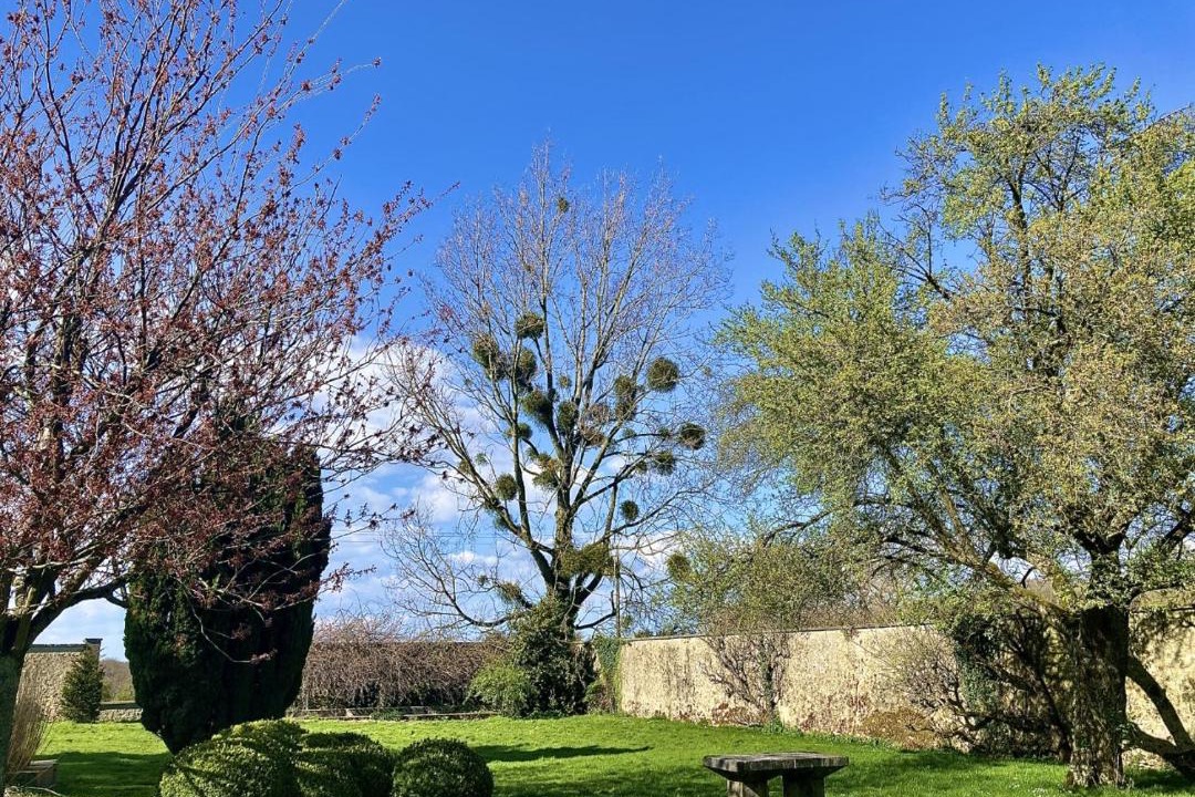 Photo of Others in Wierre-Effroy