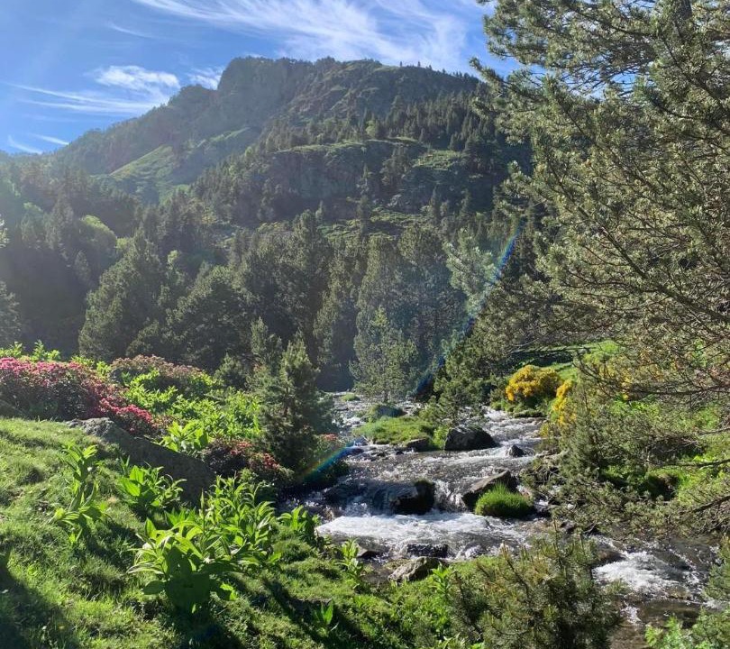 Photo of Others in Saint-Aventin