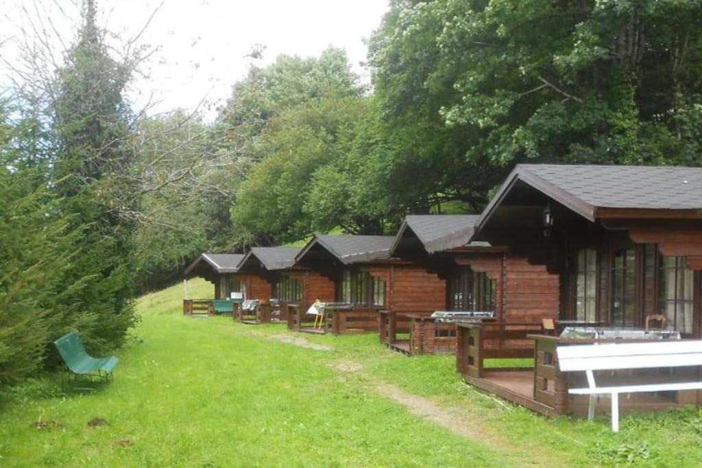 Photo of Buildings in Lacaune