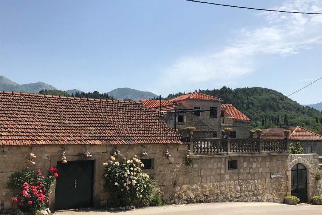 Photo of Others in Popovici