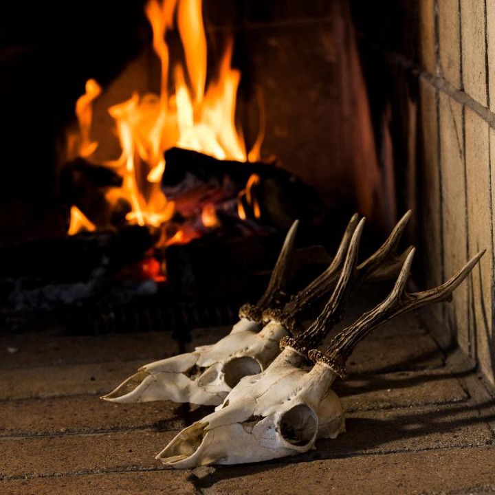 Photo of Others in Filskov