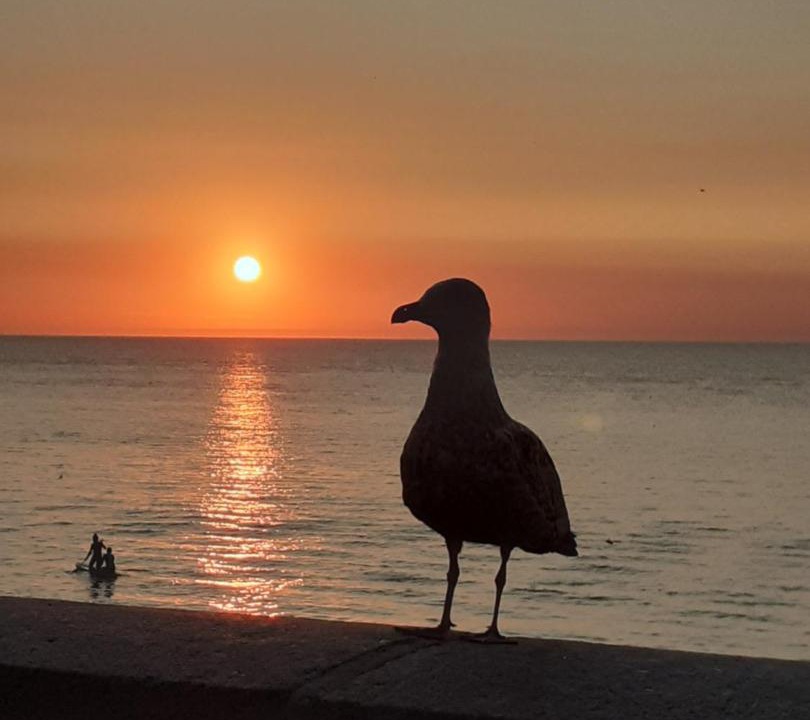 Photo of Others in Toussaint