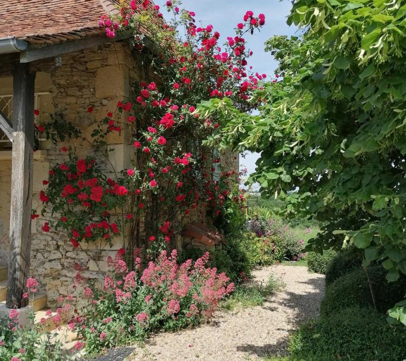 Photo of Others in Clermont-d'Excideuil