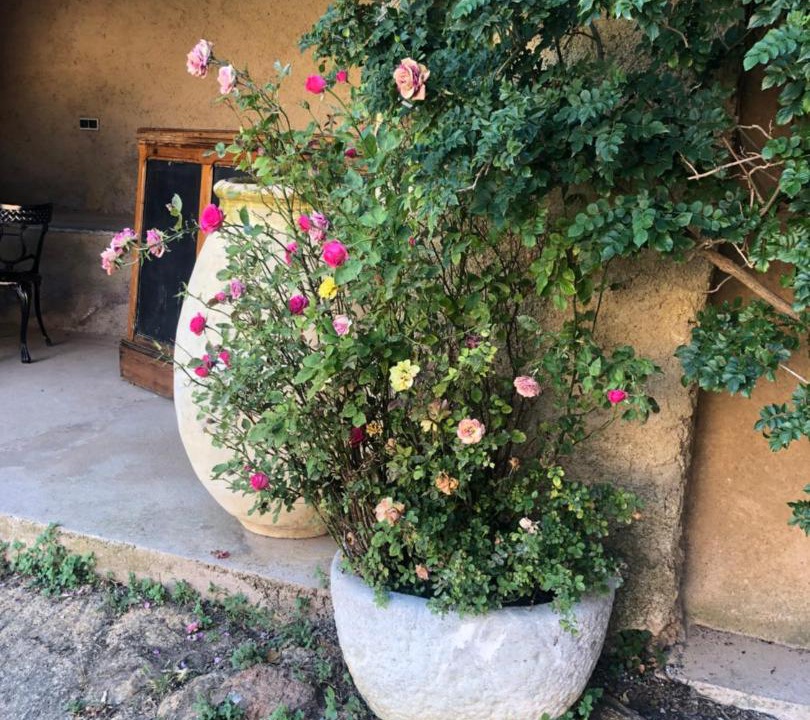 Photo of Others in Pigna