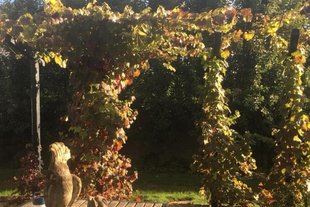 Photo of Others in Trentham