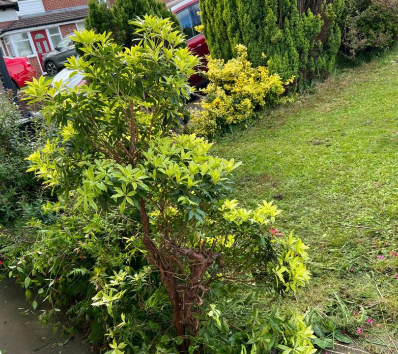 Photo of Others in Bury