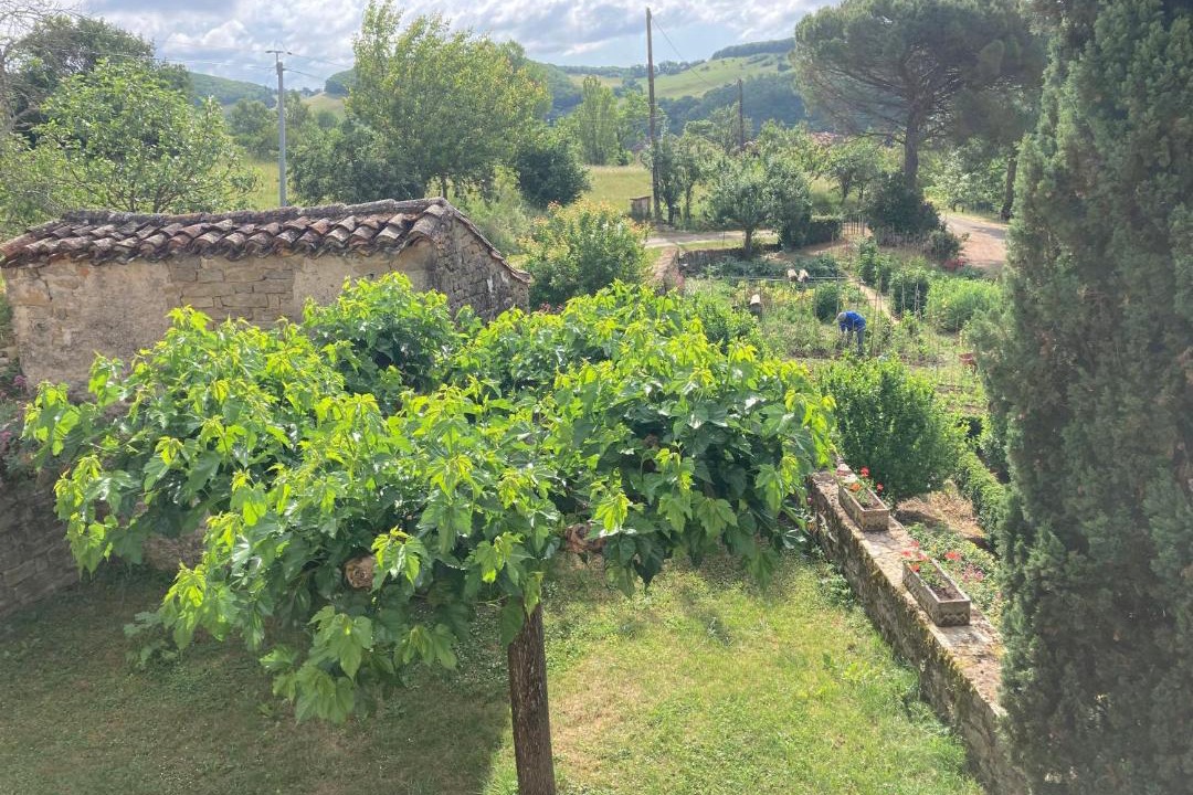 Photo of Others in Aiguelèze