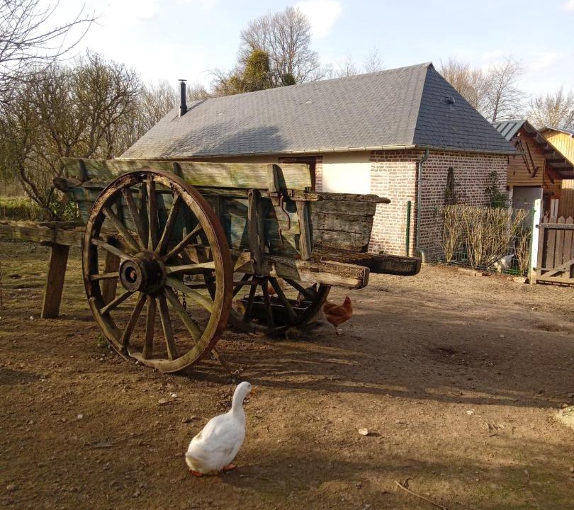 Photo of Others in Saint-Leger-du-Gennetey