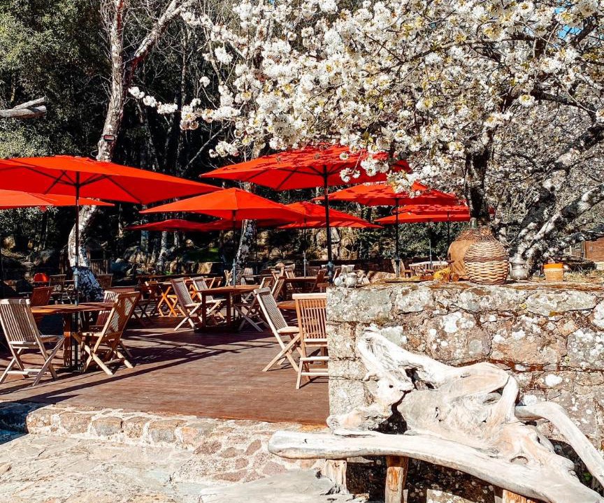 Photo of Others in Calenzana