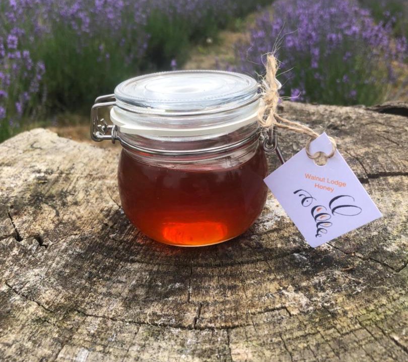 Photo of Others in Espas