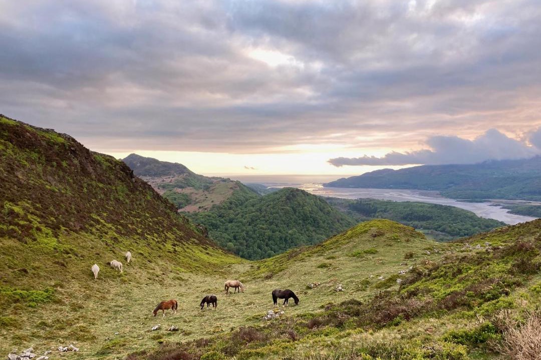 Photo of Outdoor in Dolgellau