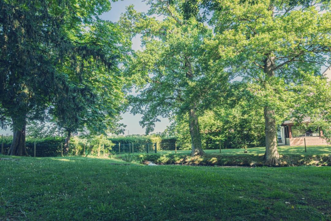 Photo of Outdoor in Bruz