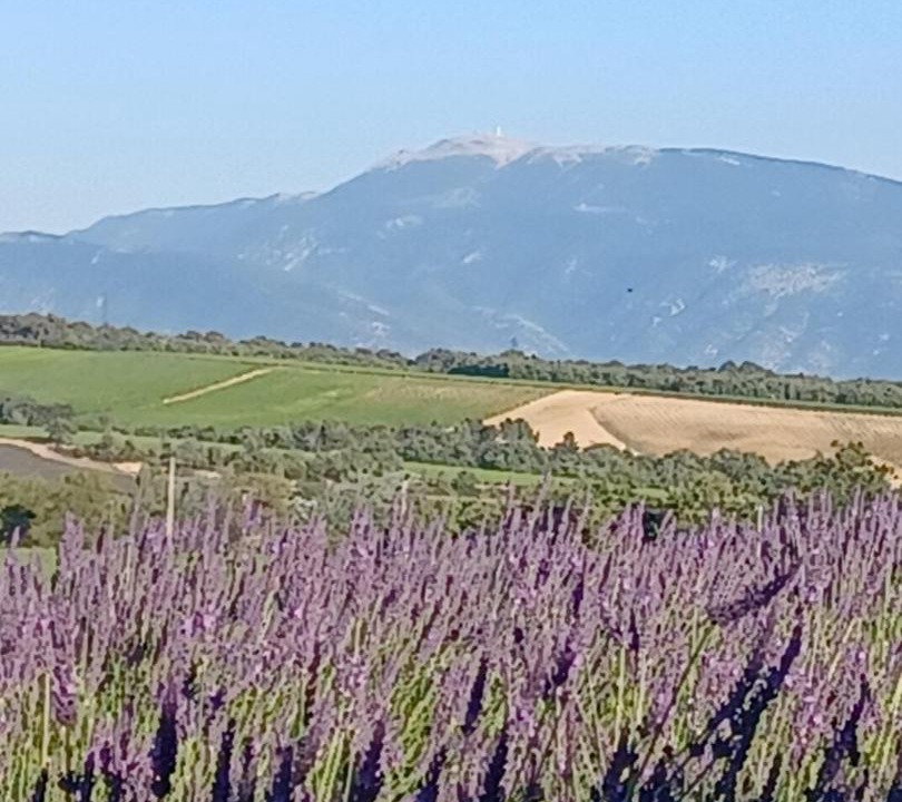 Photo of Outdoor in Valreas