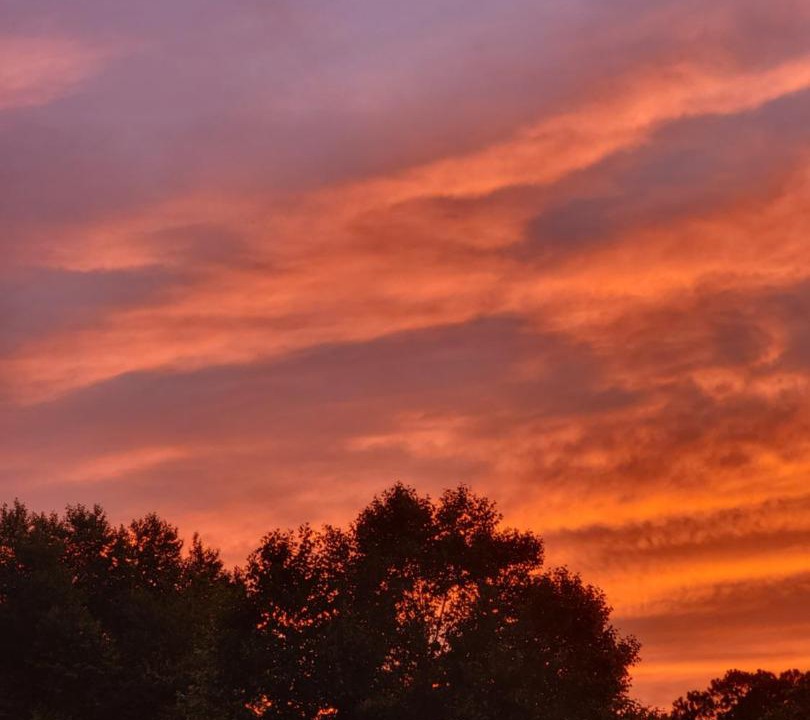 Photo of Outdoor in Gulf Breeze