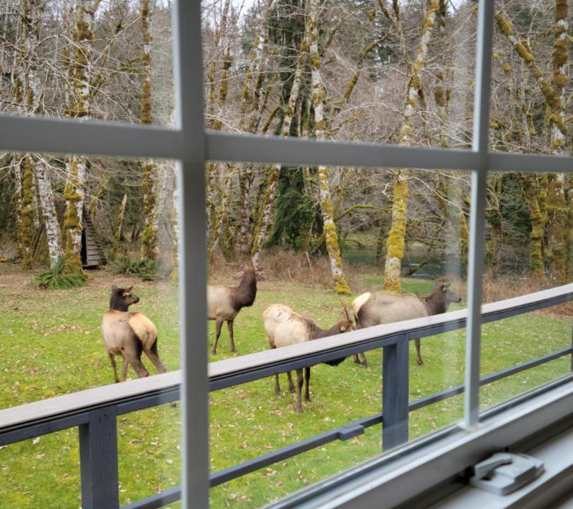 Photo of Others in Beaver