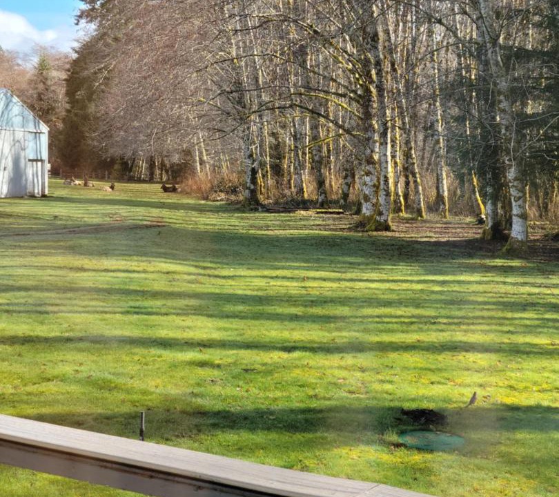 Photo of Others in Beaver