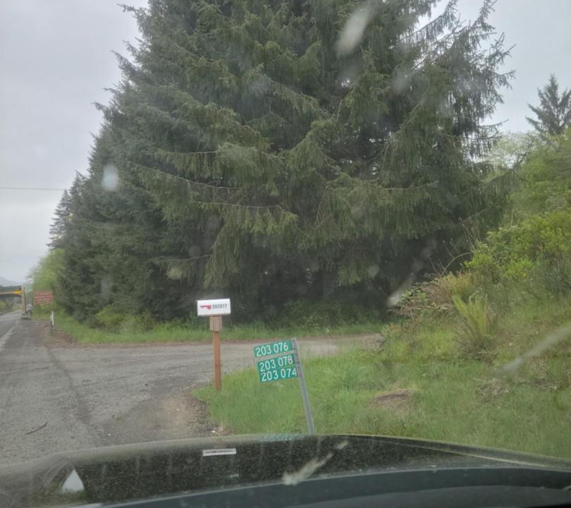 Photo of Others in Beaver