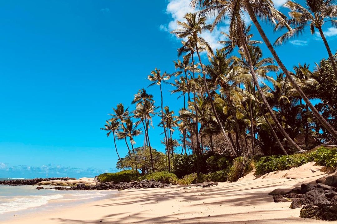 Photo of Others in Kihei