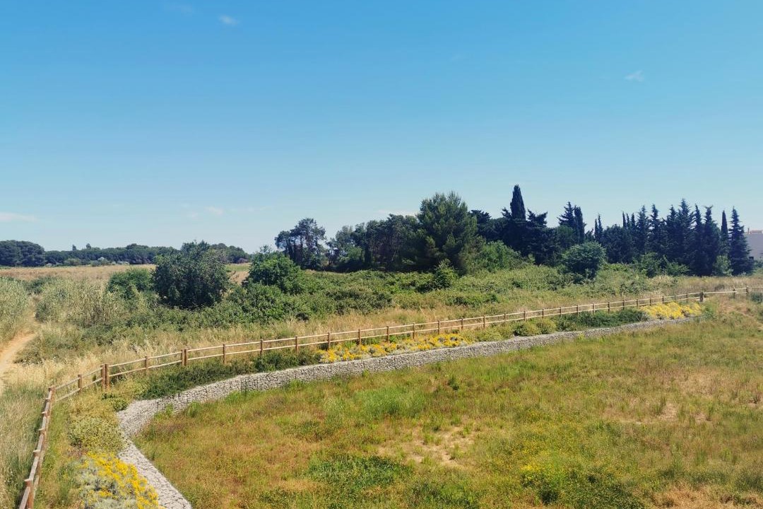 Photo of Others in Villeneuve-les-Maguelone