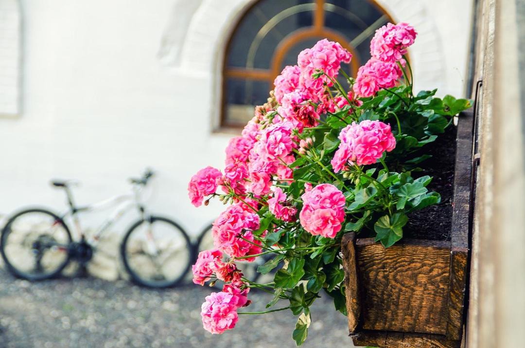 Photo of Others in Gus-Khrustalny