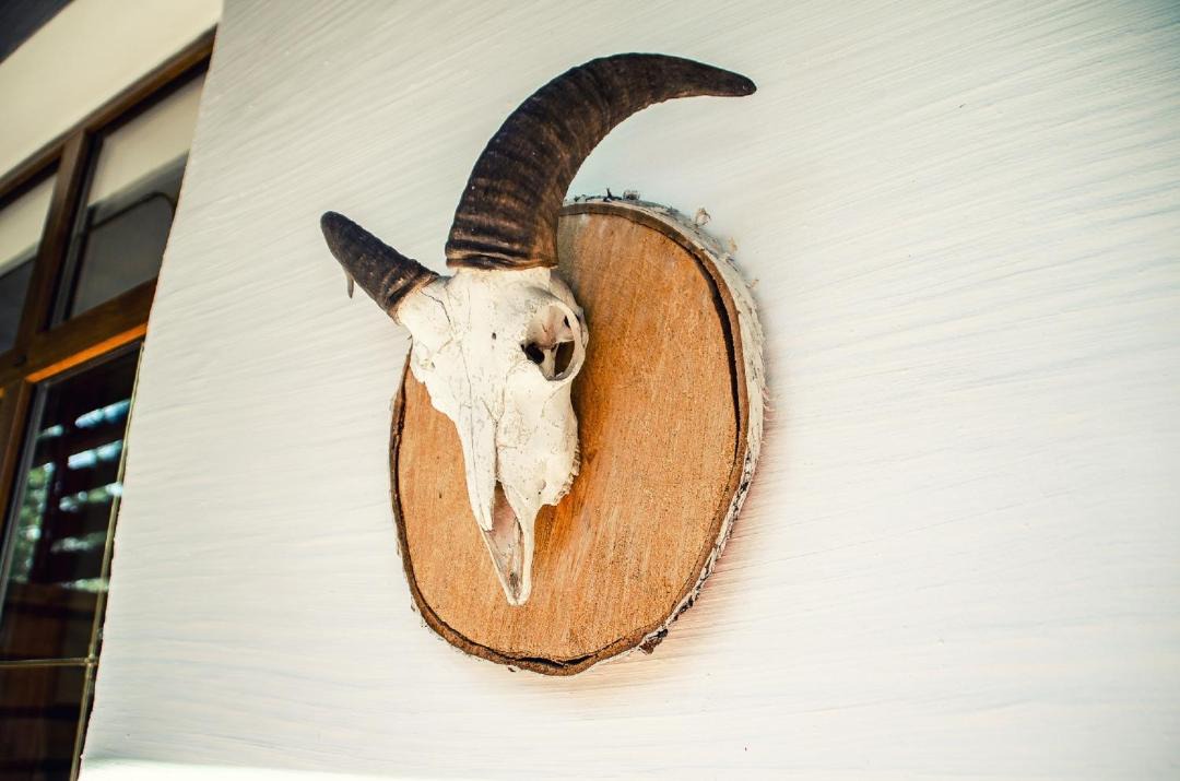 Photo of Others in Gus-Khrustalny