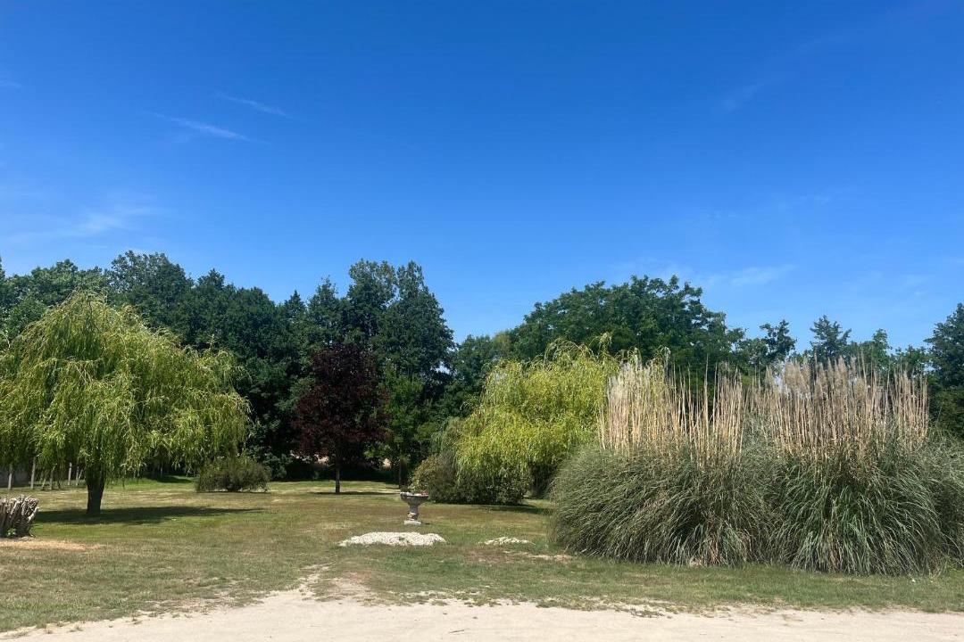 Photo of Others in Lamotte-Beuvron