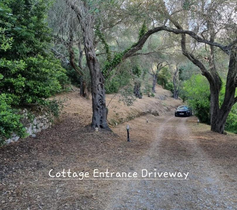 Photo of Others in Sinarades