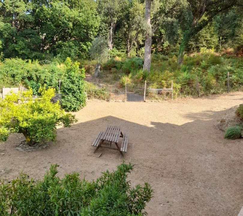 Photo of Others in Monte