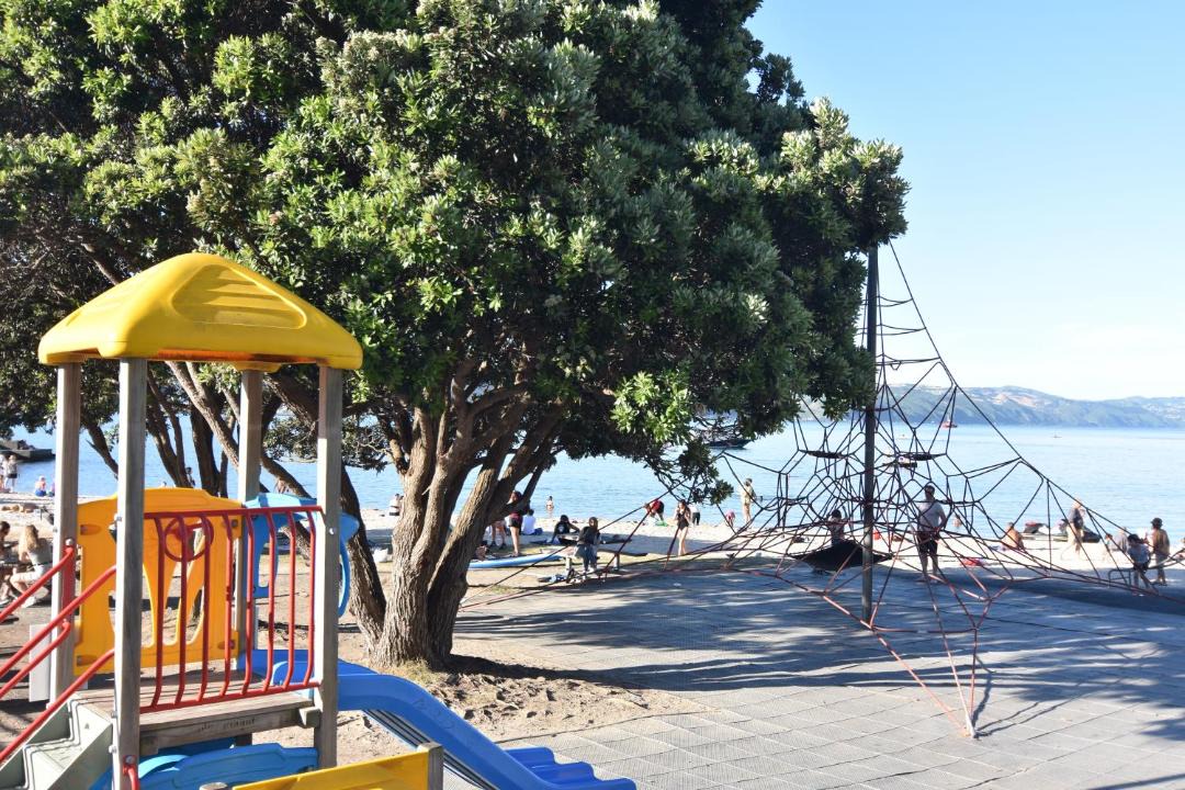 Photo of Others in Oriental Bay