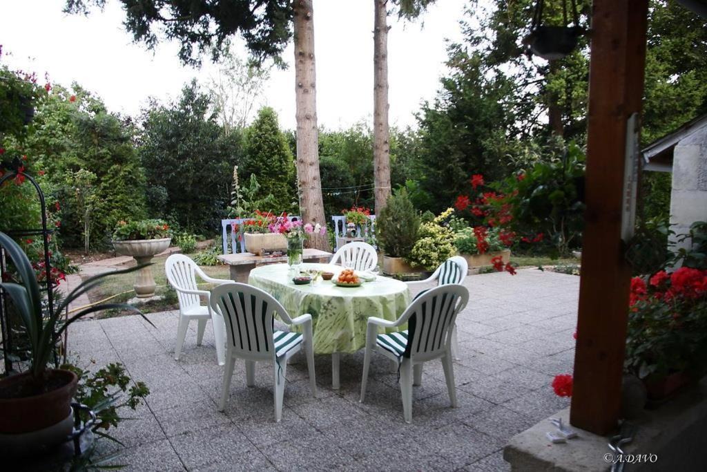 Photo of Others in Saint-Andelain