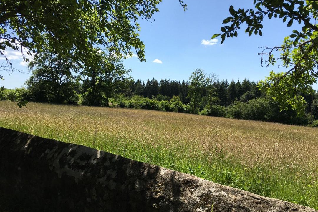 Photo of Others in Alligny-en-Morvan