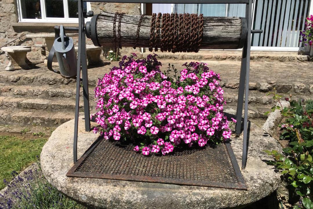 Photo of Others in Alligny-en-Morvan