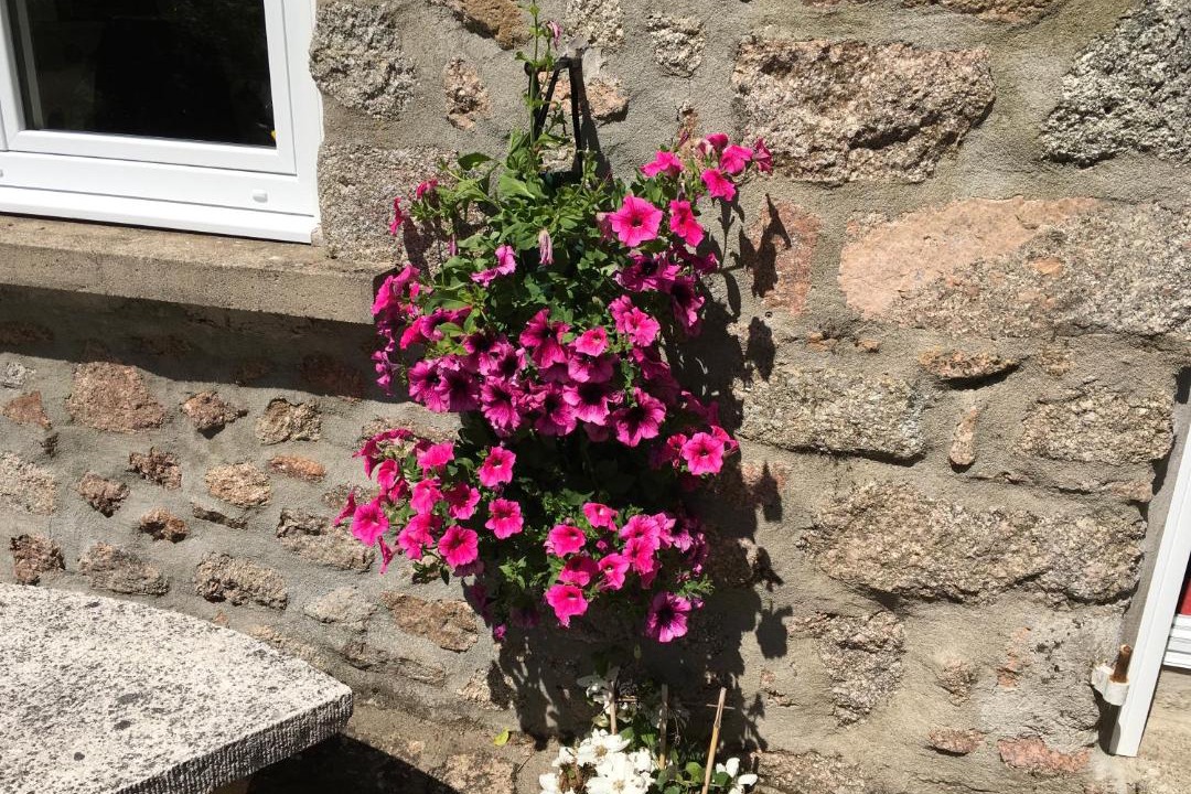 Photo of Buildings in Alligny-en-Morvan
