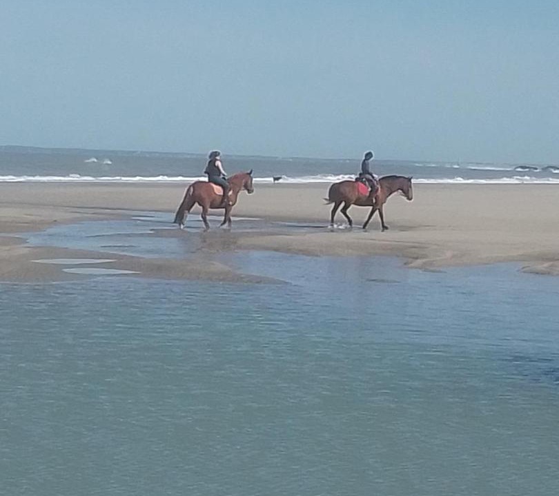 Photo of Others in Soulac-sur-Mer