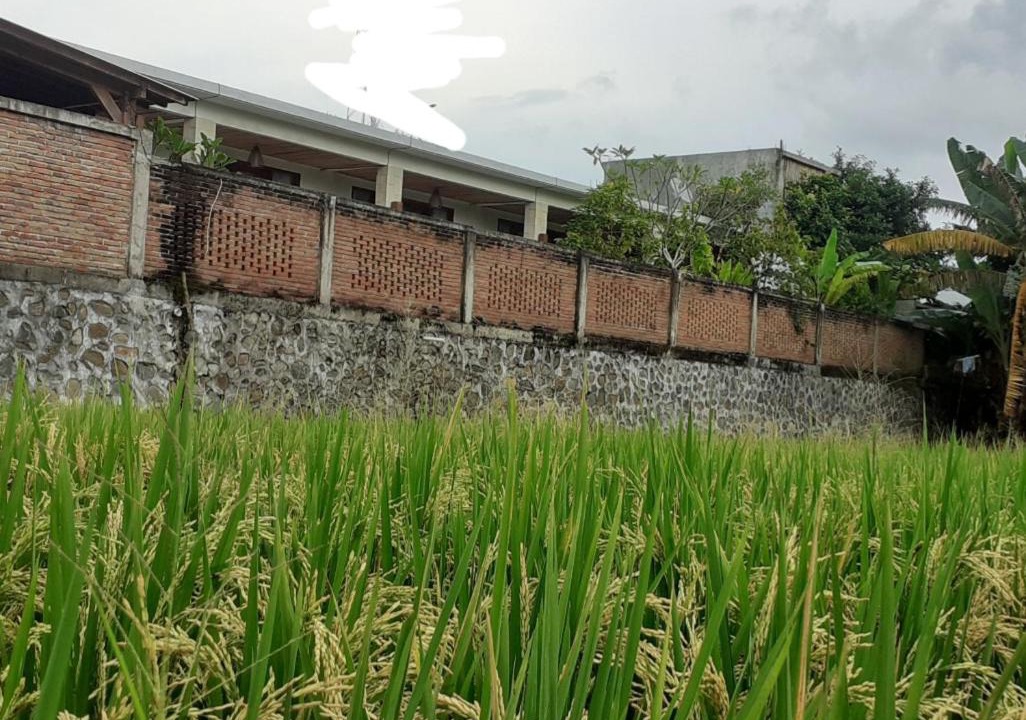 Photo of Others in Selong Belanak