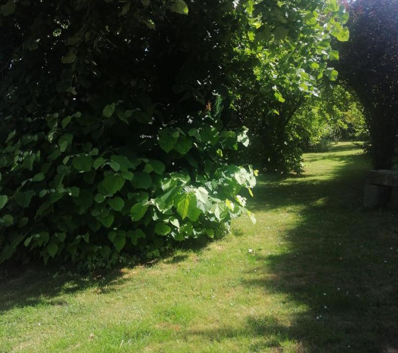 Photo of Others in Bernieres-le-Patry